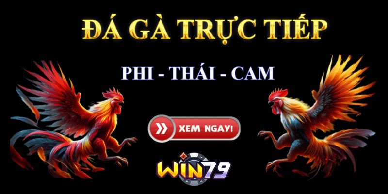 đá gà trực tiếp C3